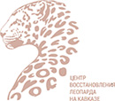 Леопард Леопард