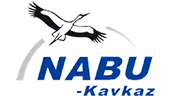 nabu kavkaz